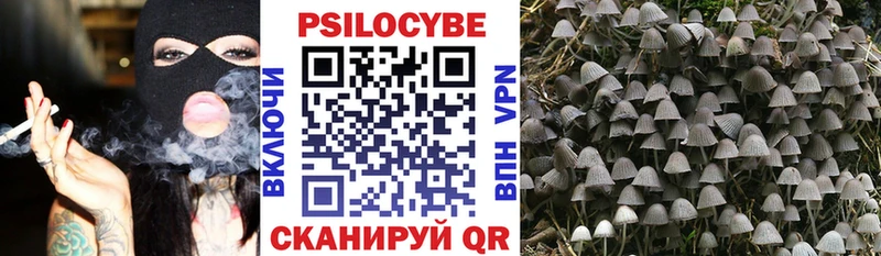 Псилоцибиновые грибы Cubensis  что такое   мега как зайти  Заречный 